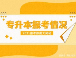 深职训学校：揭秘专升本的多种途径(升学途径)