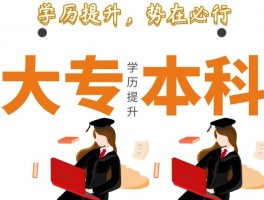 提升学历：深职训学校的解决方案(继续教育)