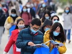 网络教育大专学历能否报考公务员？深职训学校为您解答(大专学历)