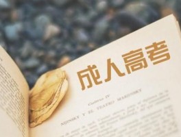 深职训学校：成人非学历教育的创新解决方案(深职训学校)