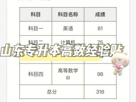 深职训学校：专升本高数挑战与解决方案(学习策略)