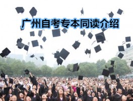 网络教育与自考：深职训学校为您解答(深职训学校)