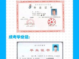 网络教育VS函授课程：深职训学校的最佳选择分析(网络教育)