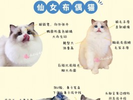 学历教育全方位解析：深职训学校如何助力提升(学历教育)