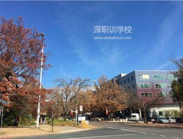 深职训学校：远程教育考试时间规划与管理策略(深职训学校)