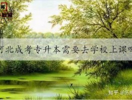 深职训学校：开启专升本网络教育的新篇章(专升本)
