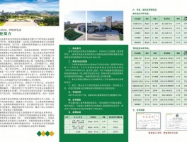 成人高考能获得学位吗？深职训学校的解答(学位)