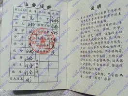 提升高中学历：深职训学校开启新机遇 - 高中学历升级指南(深职训学校)