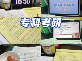 网络教育专科考研指南-深职训学校为您解答(升学)