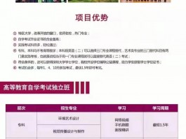 专升本难度揭秘：深职训学校如何助你一臂之力(备考策略)
