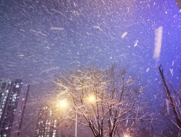 深职训学校：网络教育统考英语备考策略与解决方案(深职训学校)