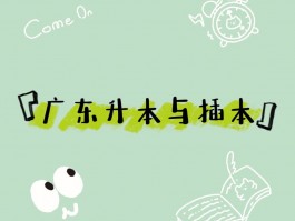 深职训学校解析：专插本与专升本的区别(专插本)