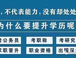 网络教育与成人高考：提升学历的双轨途径(网络教育)
