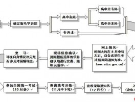 成人高考报考全攻略 - 选择合适的路径，迈向成功的第一步(备考策略)