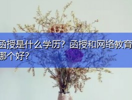 函授VS网络教育：哪个更具含金量？(含金量比较)