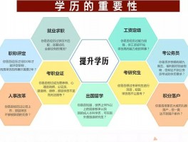 大专毕业后的学历提升之路：深职训学校的解决方案(大专学历提升)