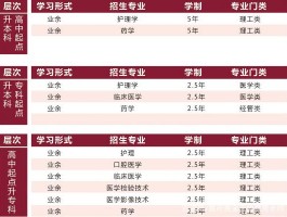提升学历选什么专业好？深职训学校为你揭示最佳选择(专业选择)