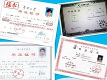 深职训学校解析：专升本学历的含金量与价值(深职训学校)
