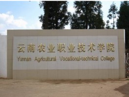 网络教育大专费用解析：深职训学校案例研究(大专费用)