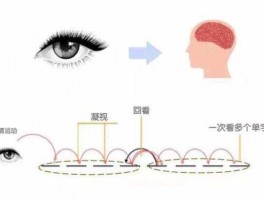 网络教育统考难度解析：深职训学校如何助你轻松过关(学习策略)