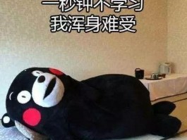 深职训学校：值得信赖的学历提升正规途径(正规机构)