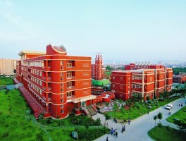 提升学历，开启成功之门-深职训学校解决方案(学历提升)