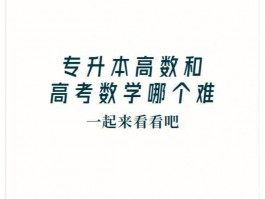 深职训学校：专升本数学难题攻克指南(数学学习)
