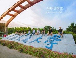 网络教育报名指南-深职训学校：一站式解决方案(深职训学校)