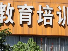 远程教育的挑战与深职训学校的解决方案(远程教育)