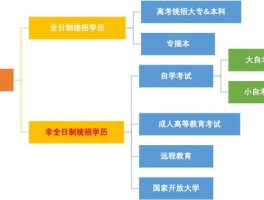 深职训学校：提升自我，成人高考中专全解析(中专教育)