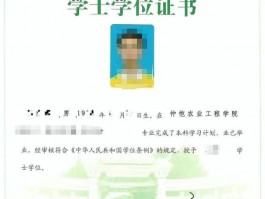 大专升本科费用解析：深职训学校如何帮助您预算(成本)
