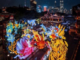 深职训学校：专升本计算机科学的全方位指南(专升本)