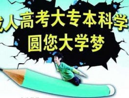 深职训学校：提升自我，通过成人高考获取本科学历(本科学历)