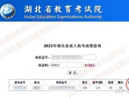 深职训学校：成人高考复习策略与实用指南(成人高考)