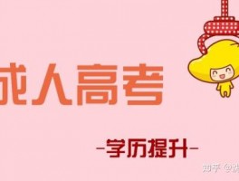网络教育本科是否能报考公务员？深职训学校为您解答(网络教育本科)