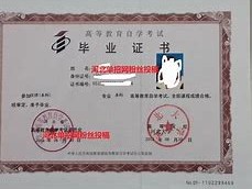 大专学历通过成人高考：深职训学校揭示其价值与实用性(教育投资)