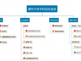 探究专插本与专升本的区别 - 选择你的升学之路(专插本与专升本区别)