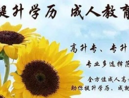成人高考全方位指南：深职训学校如何助您成功(深职训学校)