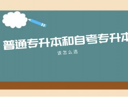 深职训学校解析：专升本学历的含金量与价值(学历提升)