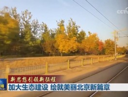 深职训学校：引领网络教育新时代，解决学习难题(个性化学习)