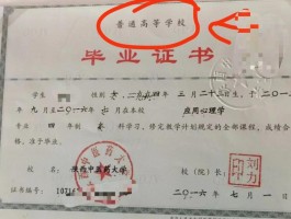 提升学历：成人如何借助深职训学校实现教育升级(学历提升)