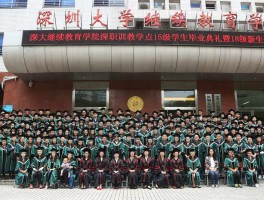 网络教育：深职训学校的创新教育模式解析(深职训学校)