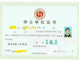 深职训学校解析：专升本后的第一学历揭秘(第一学历)