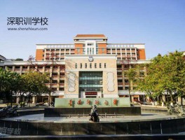 深职训学校：小学毕业的成年人如何提升学历(小学毕业生)