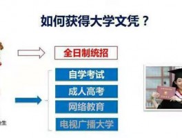 大专生提升学历之路：深职训学校如何助你一臂之力(大专生)