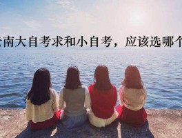 深职训学校：揭秘统招专升本，你的本科梦想触手可及(统招专升本)