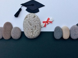 提升小学学历：深职训学校如何助孩子一臂之力(教育解决方案)