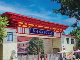 深职训学校解析：专升本与本科的区别及选择指南(本科)