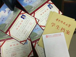 深职训学校：网络教育大专报名条件全解析(深职训学校)