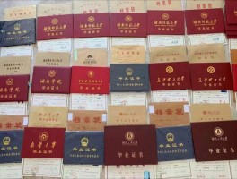提升学历选什么专业好？深职训学校为你揭示最佳选择(提升学历)